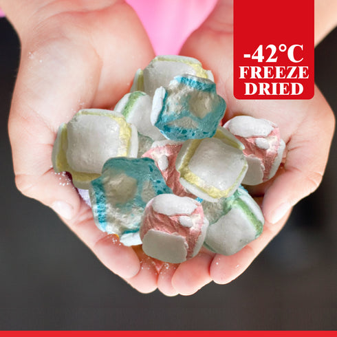 NORTHLANDZ Freeze Dried Candy, COATED MARSHMALLOW - 10 Bags